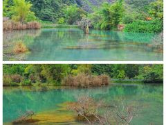 -靖西鹅泉风景区