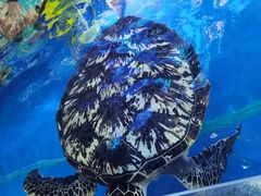 -大明湖海底世界