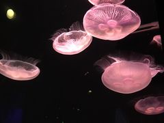 -成都浩海立方海洋公园