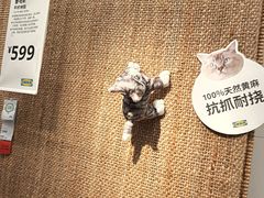 -宜家家居(哈尔滨商场店)