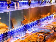 -必点海鲜·鲅鱼水饺(鞍山西道店)