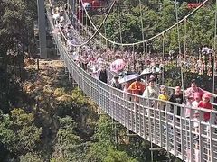 -九龙江国家森林公园