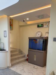 -海涛医疗美容·面部抗衰·注射美鼻