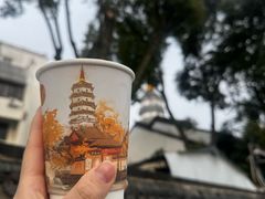-迎江寺