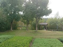 -田园东方蜜桃村的田野营地