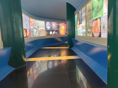 -上海昆虫博物馆