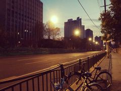 -上海市徐汇区口腔医院