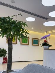 -丰联丽格医疗美容·联合丽格眼整形中心