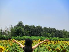 景点-天府芙蓉园