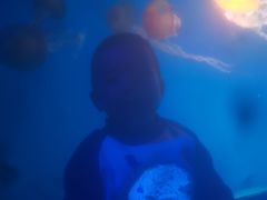 -海合安成都极地海洋公园