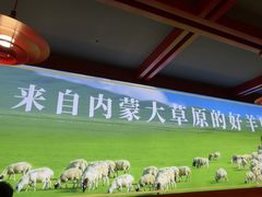 -京悦南门涮羊肉·羊蝎子火锅(田林路店)