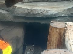 -青藏高原野生动物园