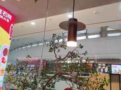 -左庭右院鲜牛肉火锅(金山万达店)
