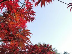 -广州市帽峰山景区