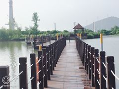 -芒洲湿地公园