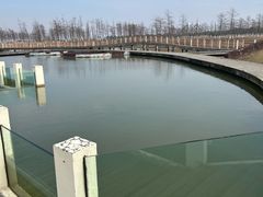 -春花秋色城市公园