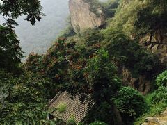 -北京鹫峰国家森林公园