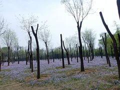 -将府公园