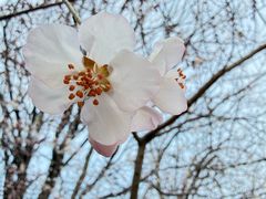 -雕刻时光·咖啡·酒吧·西餐(香山店)