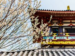 -襄阳古城