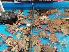 -必点海鲜·鲅鱼水饺(鞍山西道店)