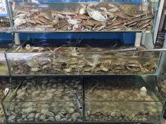 -仙螺岛海鲜自助餐厅(总店)