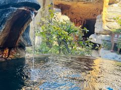 -仁爱团泊湖温泉中心