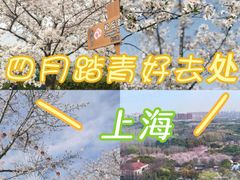 -顾村公园