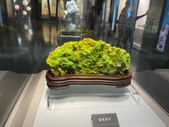 -安徽省地质博物馆
