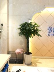 点击看大图 -昆明梦想医疗美容医院