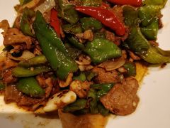 辣椒炒肉-北平盛世·新京菜·北京烤鸭(劲松·双井店)