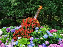 -上海共青森林公园