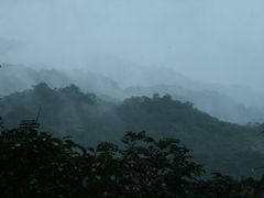 -海南热带雨林国家公园吊罗山景区