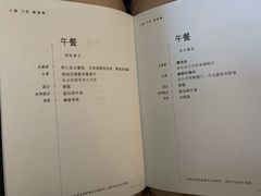 -新加坡航空公司(ION)