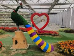 -兴芮温泉度假区