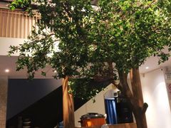 -湘轩·土菜研究院(光大店)