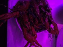 -凯乐会量贩KTV(国防大厦总店)
