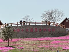 -莱阳濯村樱花园