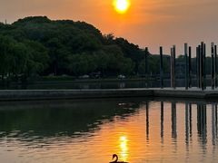 -上海月湖雕塑公园