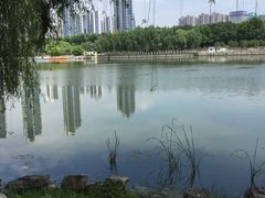 -后襄河公园