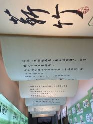 -阅年轻·AI家庭健康体质调理
