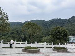 -铁山坪森林公园