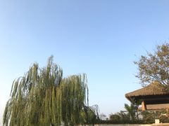 -苏州湾王焰温泉度假酒店