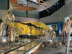 -湖南省地质博物馆