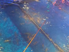 -钳真多钓虾馆·小龙虾海鲜烧烤(九六广场店)