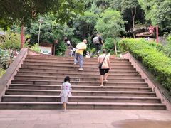 -寻龙山风景旅游区