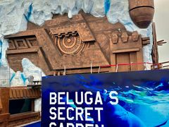 -秦皇岛乐岛海洋王国