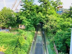 -富斯特索道