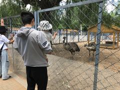 -长白岛森林公园