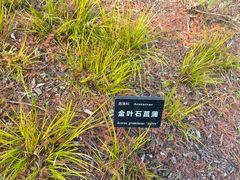 -浙江农林大学(东湖校区)